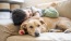 dog lying on a couch with a boy