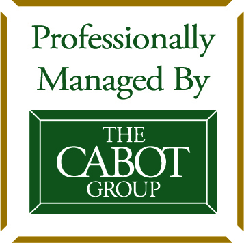 The Cabot Group